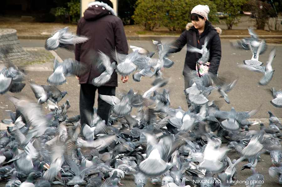 ueno park 21.jpg - 上野公園